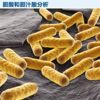 胆汁和胆汁酸分析