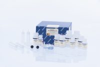 EndoFree Plasmid Maxi Kit (10)
