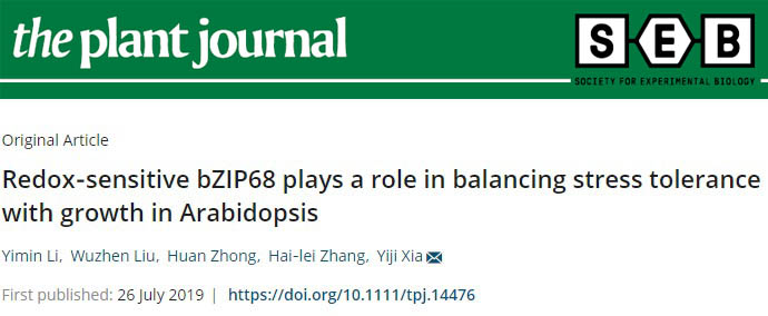 合理的实验设计有多重要？