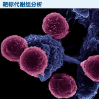 靶标代谢组学分析