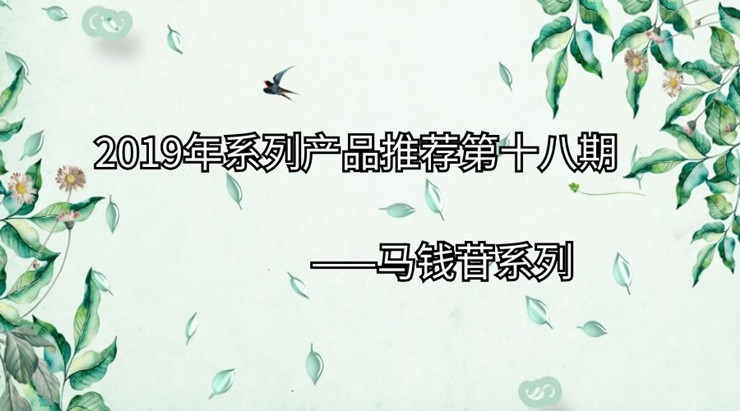 2019年系列产品推荐第十八期|马钱苷系列