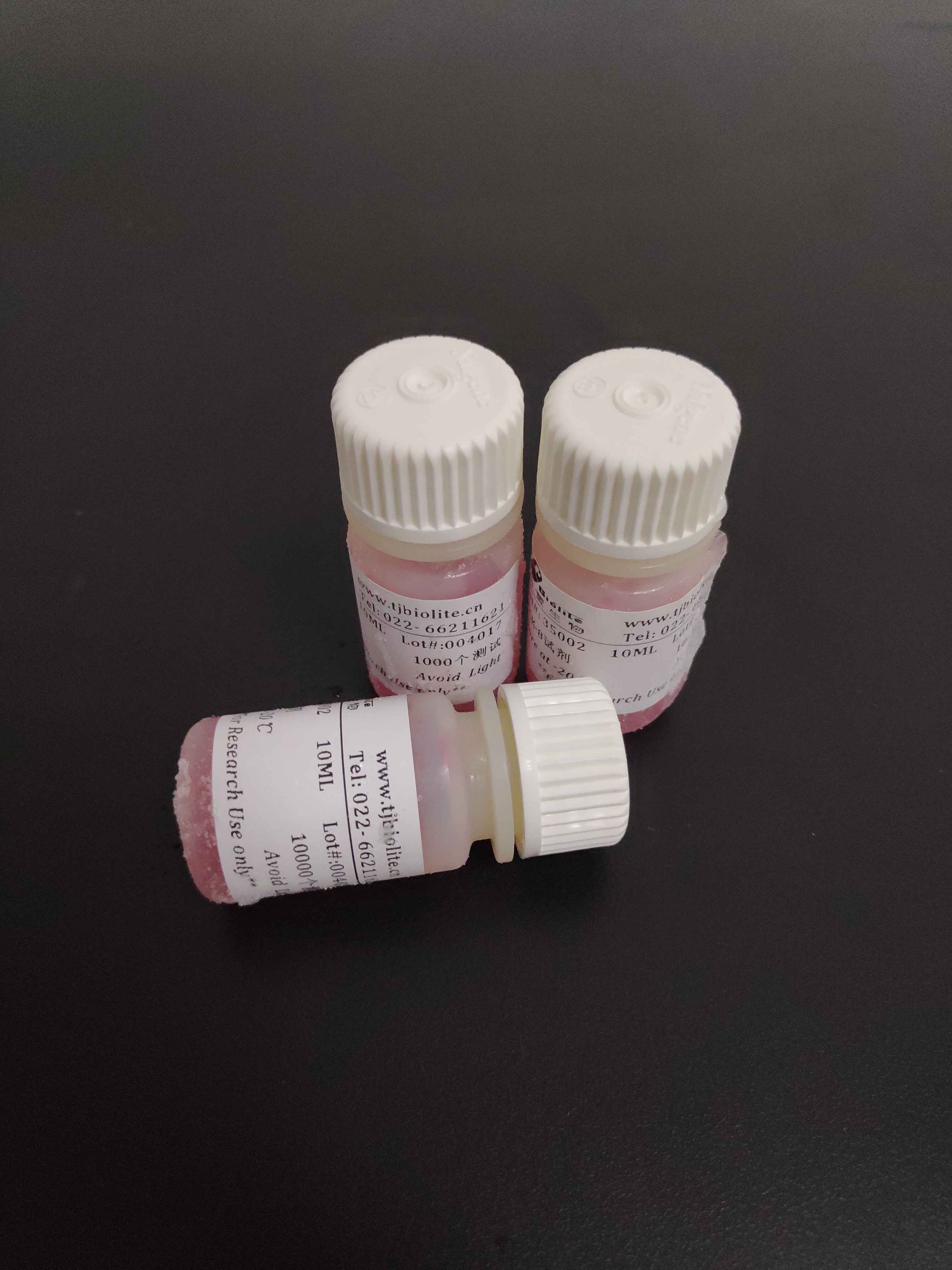 CCK-8细胞增殖与活性检测试剂