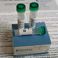PolyJet™体外DNA转染试剂（免费试用）