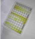 人巨噬细胞炎性蛋白4α(MIP4a)检测试剂盒(酶联免疫吸附试验法)