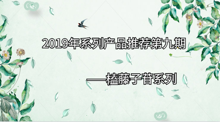 2019年系列产品推荐第九期|榼藤子苷系列