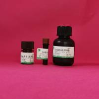 GUS染色液(即用型)