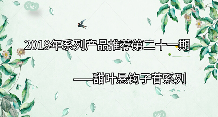 2019年系列产品推荐第二十一期|甜叶悬钩子苷系列