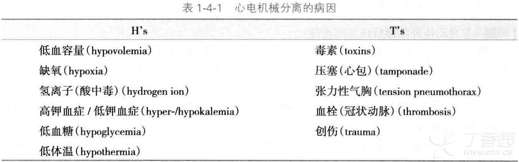 心儿怦怦跳跳绳作文_我的心儿怦怦跳400字的作文_心儿怦怦跳写作文
