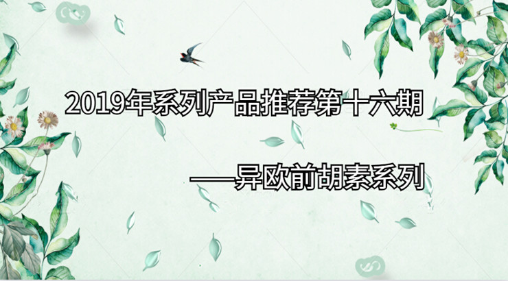 2019年系列产品推荐第十六期|异欧前胡素系列