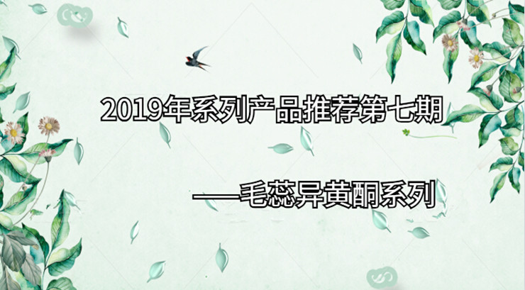 2019年系列产品推荐第七期|毛蕊异黄酮系列
