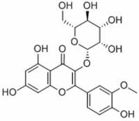 异鼠李素-3-O-半乳糖苷