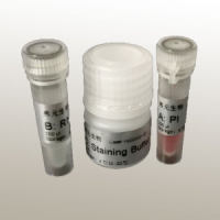 Annexin V-GFP/PI 双染细胞凋亡检测试剂盒