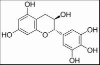 没食子儿茶素