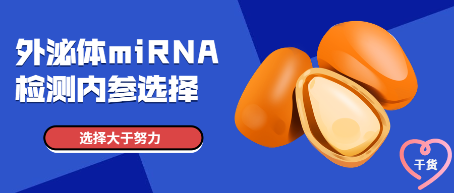 干货|一文读懂外泌体miRNA检测如何选择内参