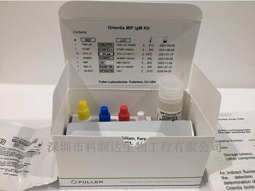 斑疹伤寒立克次体IgM检测试剂盒