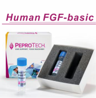 Recombinant Human FGF-basic (154 a.a.)