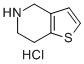 4,5,6,7-Tetrahydrothieno [3,2,c]pyridine hydrochloride28783-41-7说明书