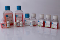 MSC NutriStem® XF Medium 无血清培养基（通过美国FDA DMF：29469，国外可用于临床）