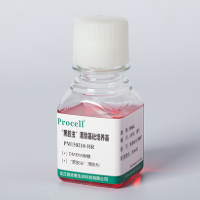 “黑胶虫”清除基础培养基(DMEM高糖)