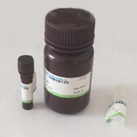 双缩脲总蛋白试剂