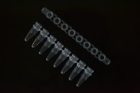 0.2ml 荧光定量qPCR 8联管 