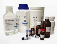 苯基-琼脂糖凝胶 H.P.