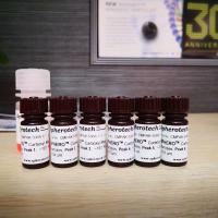 羧基磁珠( 0.4-0.69 um)