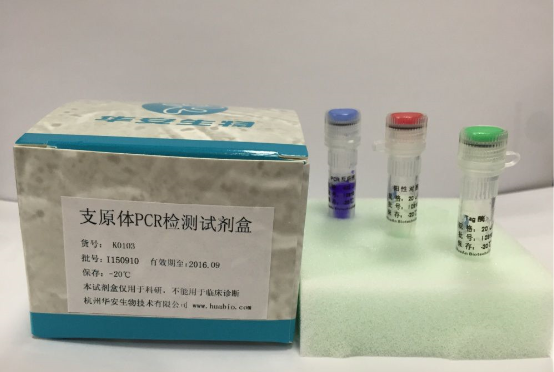 细胞培养之支原体污染