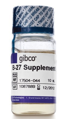 Gibco™ B-27™ Supplement (50X), serum free  17504044