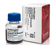 Invitrogen™ Dynabeads™ M-280 Streptavidin 11206D