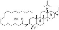 Lupeol 3-hydroxyoctadecanoate免费代测