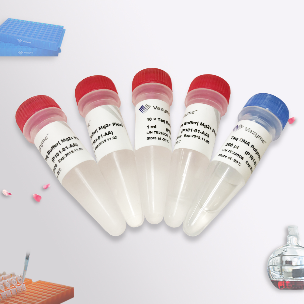 【正品直销,售后保障】(dna聚合酶,普通taq酶)taq dna polymerase