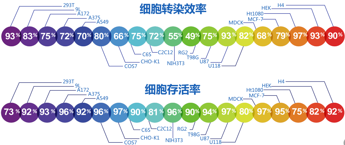 FastPorter™超高性价比转染试剂新品上市，一大波试用装已备好~