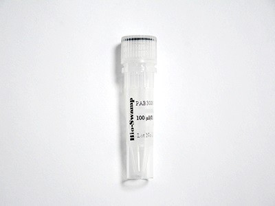 MC4R Polyclonal Antibody