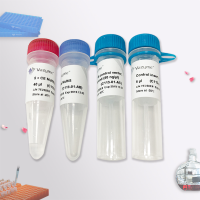 ClonExpress II One Step Cloning Kit （非连接酶依赖型单片段快速克隆试剂盒）（C112）_价格-厂家-供应商 ...