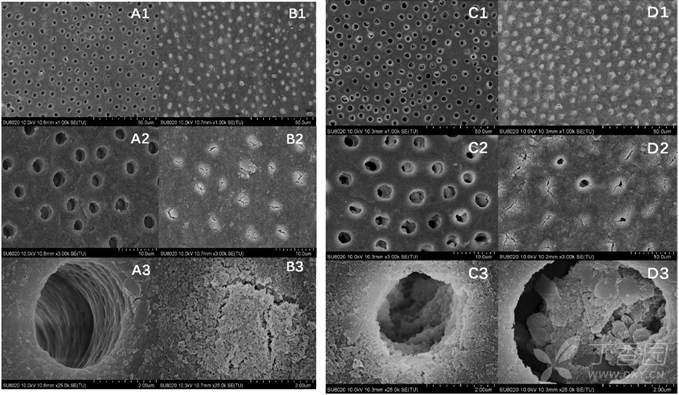 对于封闭牙本质小管的研究