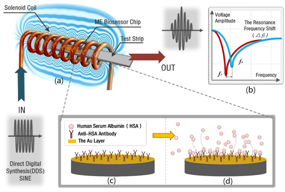 我的第一篇 SCI 文章发表历程