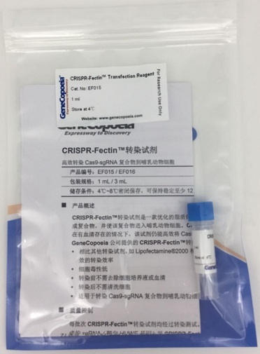CRISPR-Fectin™转染试剂
