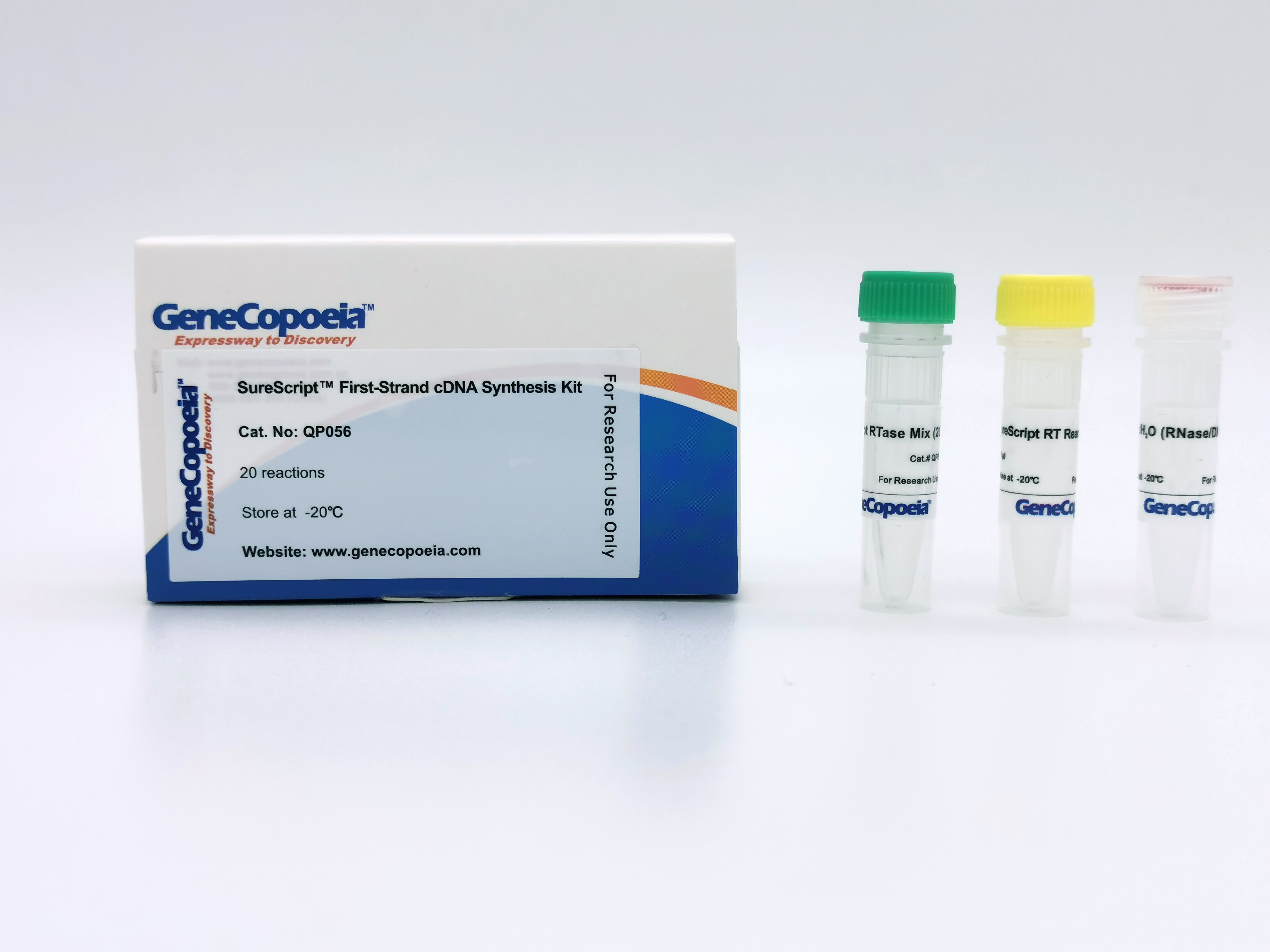 SureScript™ cDNA第一链合成试剂盒