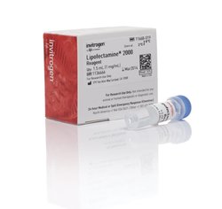 转染试剂 脂质体lip2000 （Lipofectamine™ 2000 Transfection Reagent）