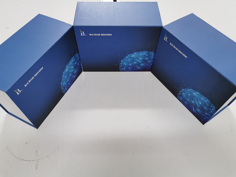 使用-人瘦素ELISA检测试剂盒
