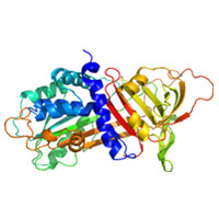 定量磷酸化蛋白质组分析