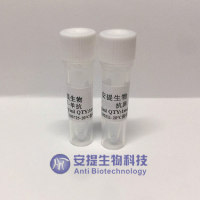 呕吐毒素抗体 呕吐毒素单抗 呕吐毒素单克隆抗体 DON单抗 Deoxynivalenol antibody