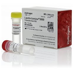 Invitrogen Lipofectamine 3000 Transfection Reagent  L3000015(L3000-015)