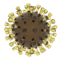 原代T细胞专用病毒