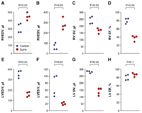 Micro-CT 用于心脏功能评估，为医疗技术进步助力