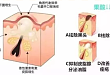 菇凉们，一起来美美吧~