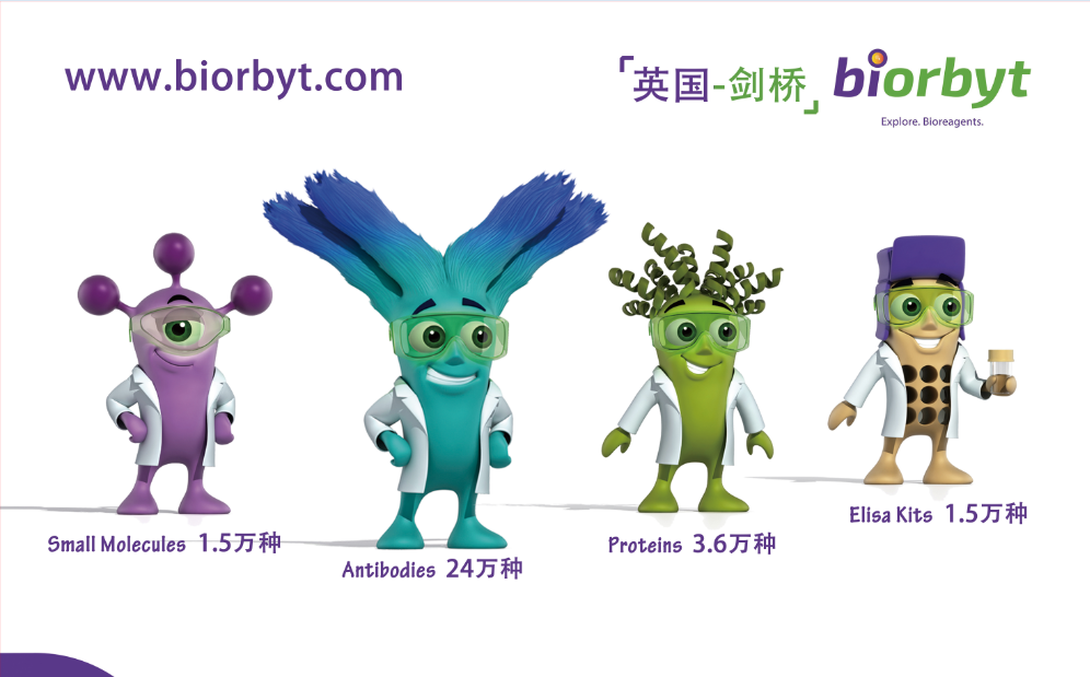英国 biorbyt 感恩回馈：买抗体送百元购物卡