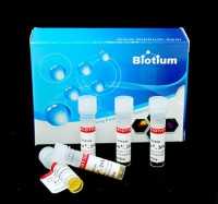 Biotium GelRed® Nucleic Acid Gel Stain, 10,000X 41003