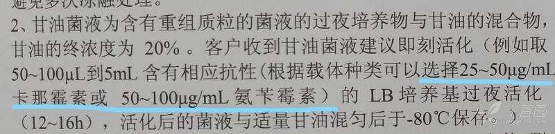 新手求助,摇菌扩增质粒相关问题 - 丁香园论坛